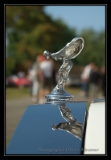 Rolls Royce Corniche Cab - 2
